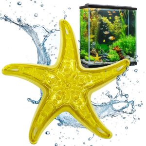 Sandy The Bio-support Starfish